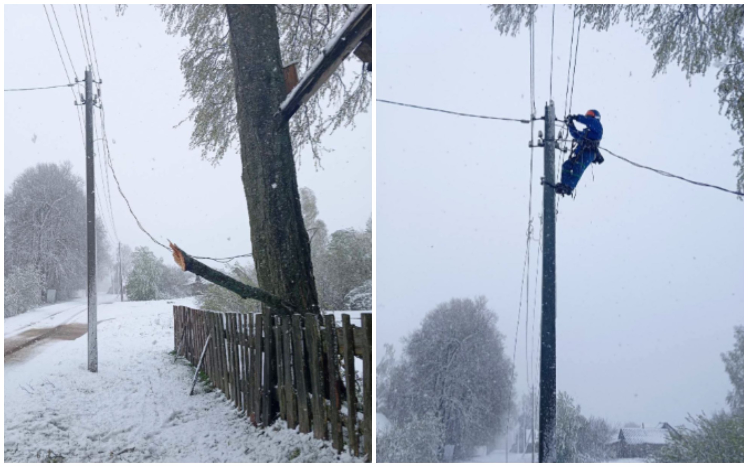 В Витебской области из-за снегопада кое-где нет электричества.jpg
