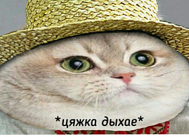 Шуфлядка, бриджи и пакет “Wildberries”. Белорусы рассказали, что их выдает за границей