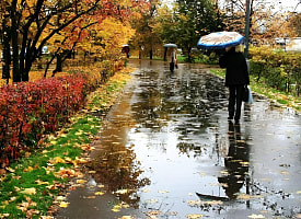 Белгидромет объявил оранжевый уровень опасности. Прогноз погоды на 31 октября