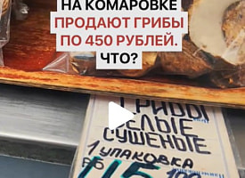 На минской Комаровке нашли грибы по 450 рублей