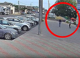 Милиция задержала главу госпредприятия на Могилёвщине – грозит до 10 лет тюрьмы