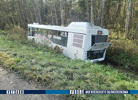 Автобус съехал в кювет под Могилевом