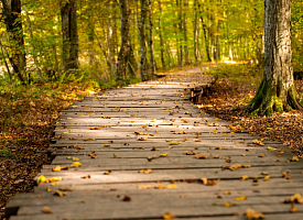 Эта простая привычка снижает риск сердечных заболеваний на две трети – достаточно 15 минут в день